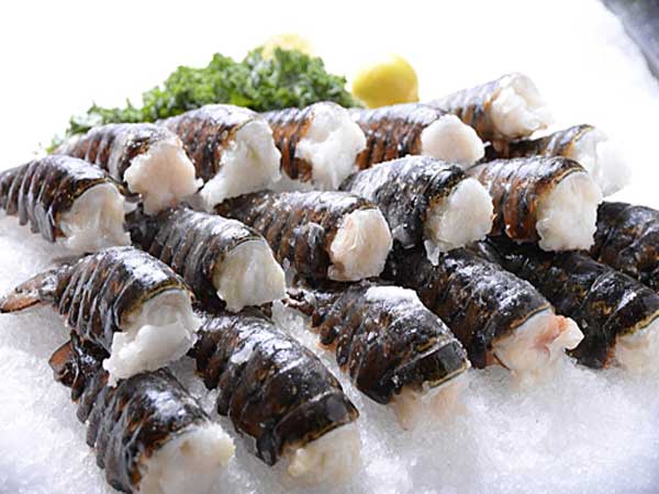 Đuôi tôm hùm Úc giá bao nhiêu? 3 duoi-tom-hum-uc