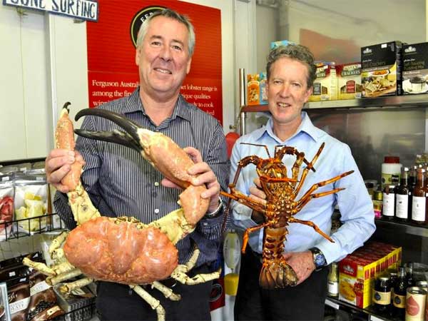 Xuất khẩu tôm hùm Úc của Mỹ sang Trung Quốc đã tụt dốc trong 2020 1 Tom-hum-uc-10