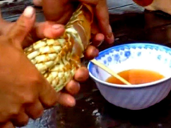 Tiết canh tôm hùm Úc 3 Tiet-canh-tom-hum-uc-4